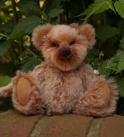 Photo of Alpaca