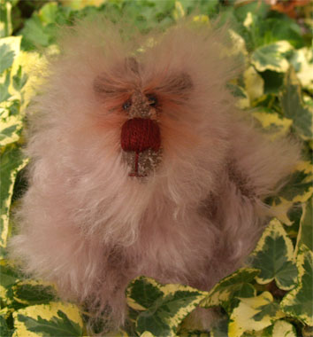 Photo of Powder Puff